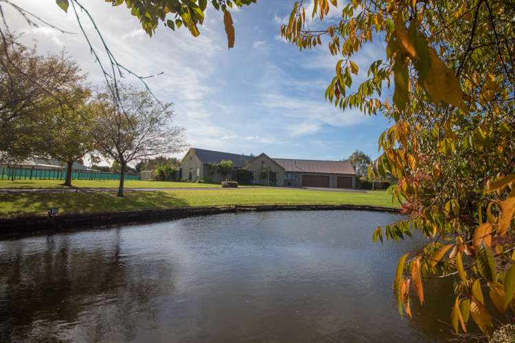 170 Tutaki Road Kelvin Grove_12