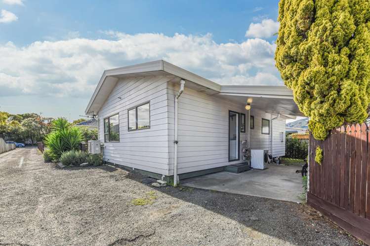 2/42a Songer Street Stoke_14