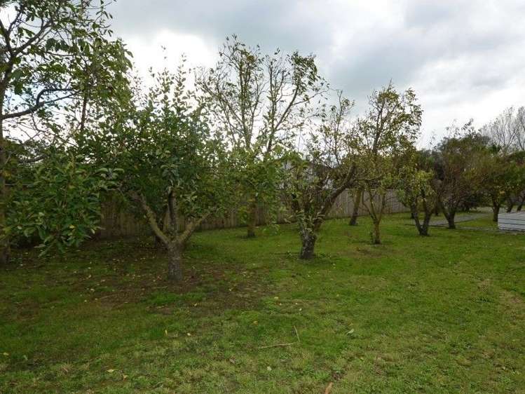 78 Dublin Street Martinborough_20