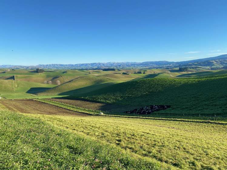 112 Waikakahi Valley Road Ikawai_19