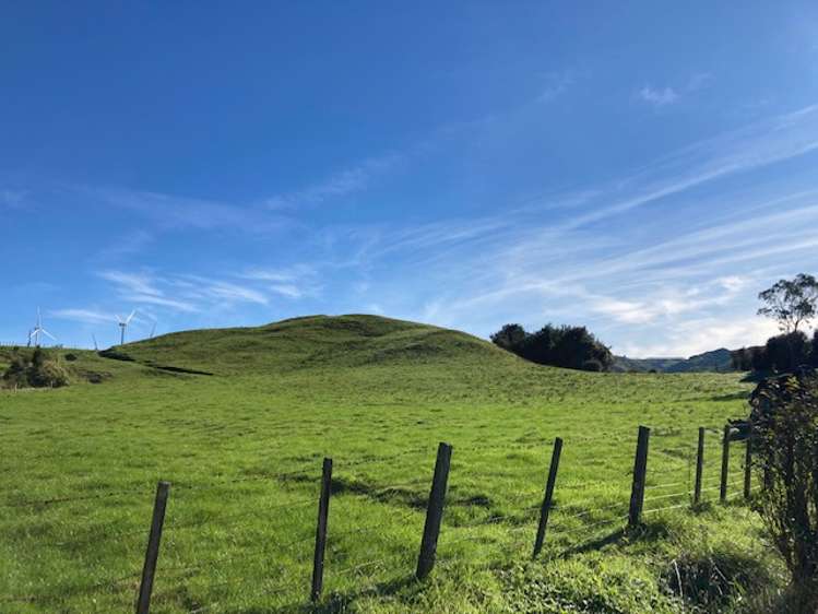 Tararua Road Pahiatua_15