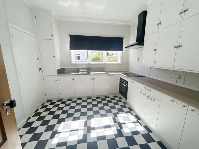 47 Nuffield Avenue Marewa_2