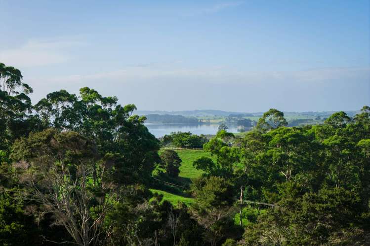 Ararua Road Matakohe_17