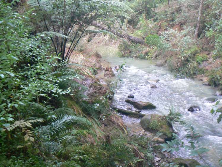 6084 Mangakahia Road Tautoro Far North Rural Property For Sale