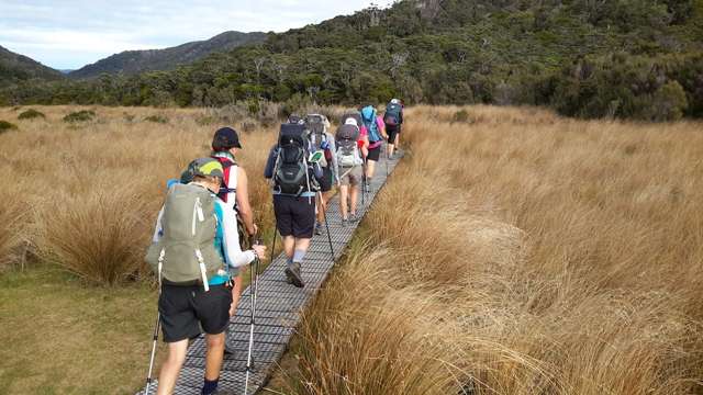 Bush & Beyond Guided Walks Eco Tourism Business For Sale