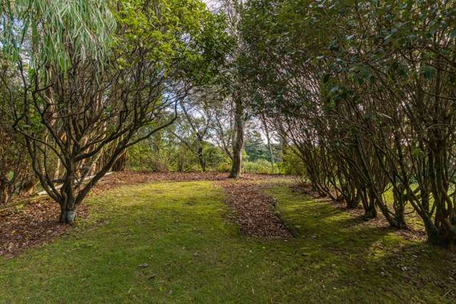 64 Elizabeth Street Waikanae_2