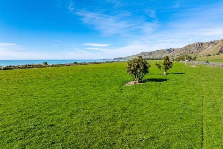 4667 State Highway 1, Clarence Kaikoura_7