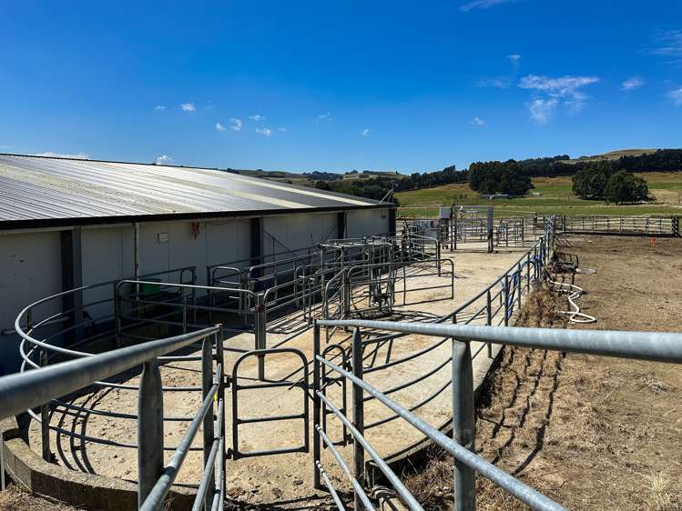 50 Mill Road Gore Surrounds_20