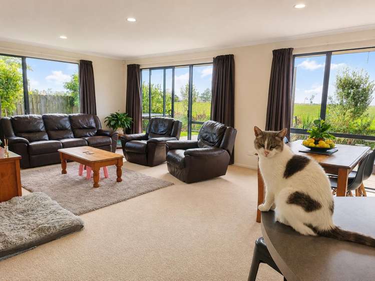 41B Springs Road, Parakai_1