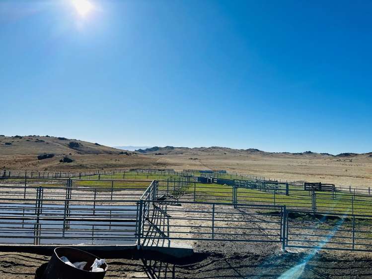 1109 Little Valley Road Alexandra_9