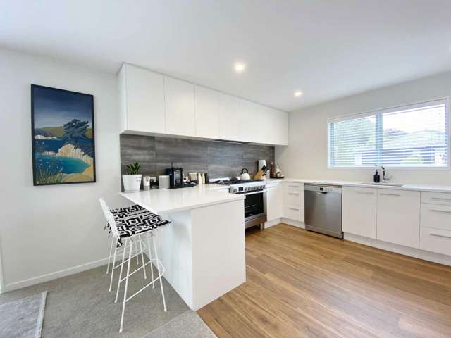 1a Gilbert Place Sydenham_1