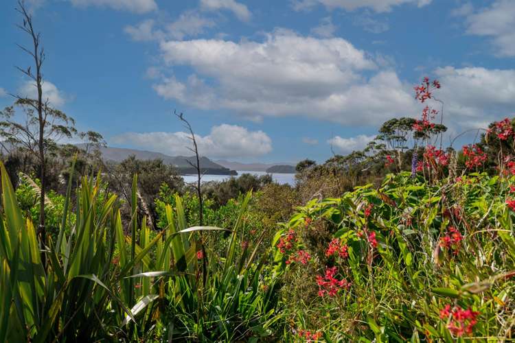 980 State Highway 10 Kaeo_23