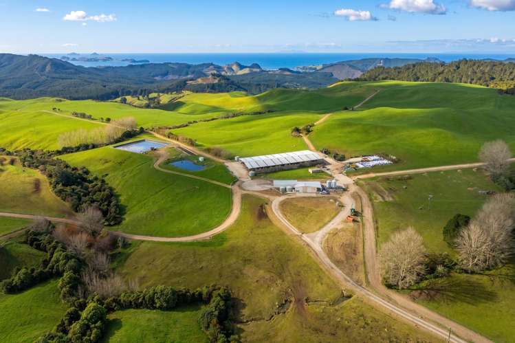 165 McBeth Road Hikuai_2