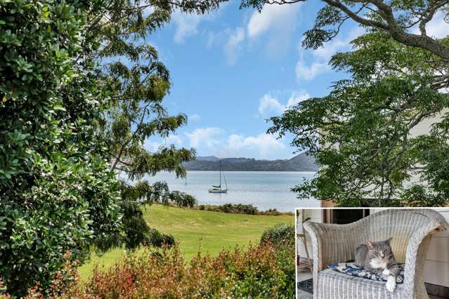 Purrfect…. Coastal breeze and Cosy comfort