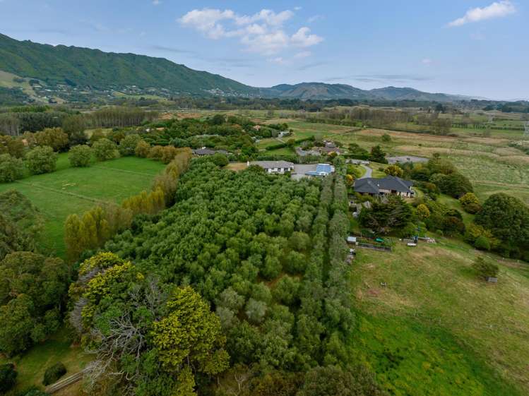 56 Kensington Drive Peka Peka_18