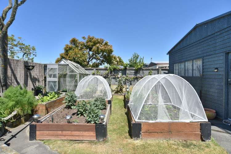 106 Dunns Avenue The Pines Beach_24