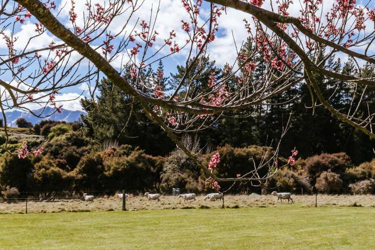 1050 Lake Hawea-Albert Town Road Lake Hawea_15