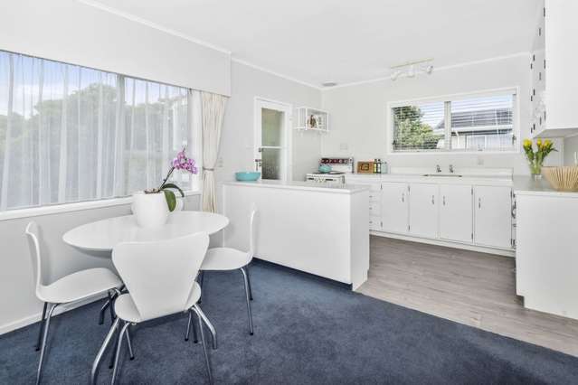 161c Edinburgh Street Pukekohe_1