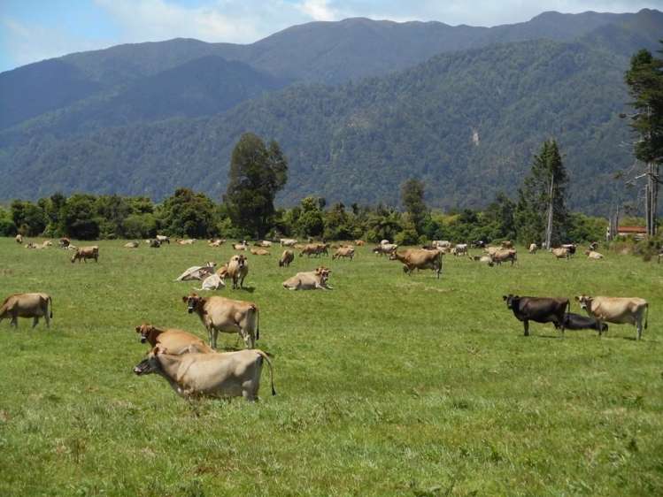 193 Victoria Road Devonport_0