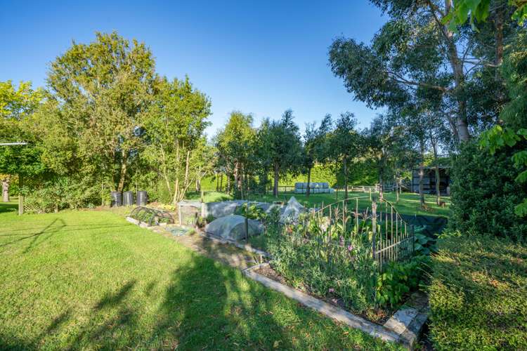 196 Beatties Road Ashley_23