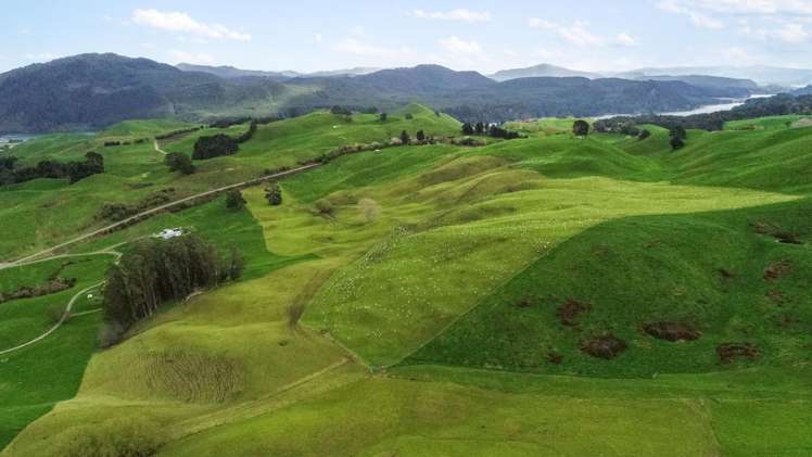 Coates Road Waikite Valley_3