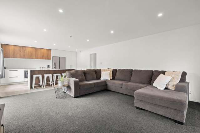 43 Norrie Street Redwood_2
