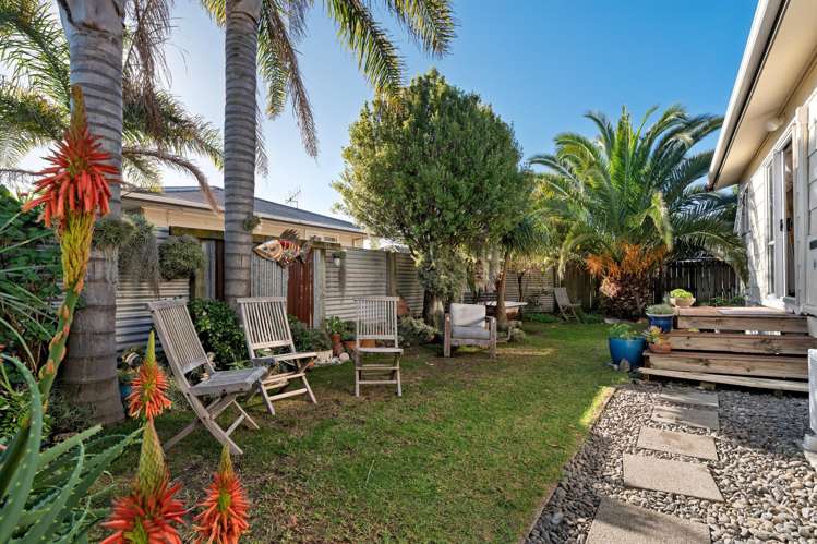 45 Paterson Street Mount Maunganui_3