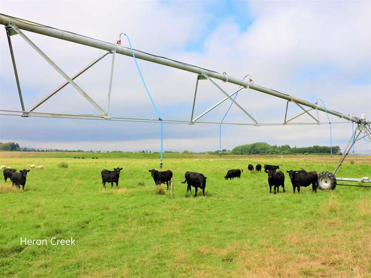 3389 State Highway 2 Takapau_14