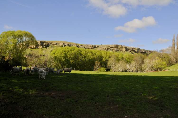 Hakataramea Highway Waimate_32