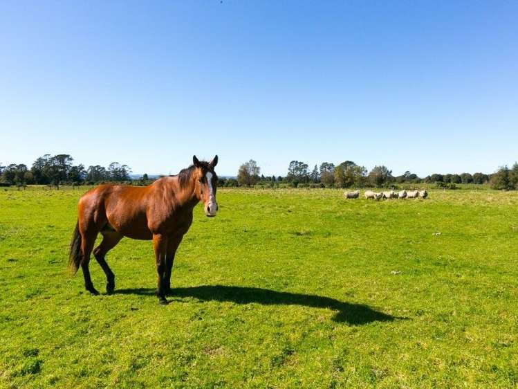 585 Bedford Road North Norfolk_30