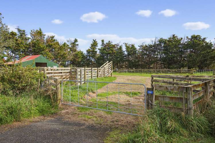 36 Painua Road Hokio Beach_18