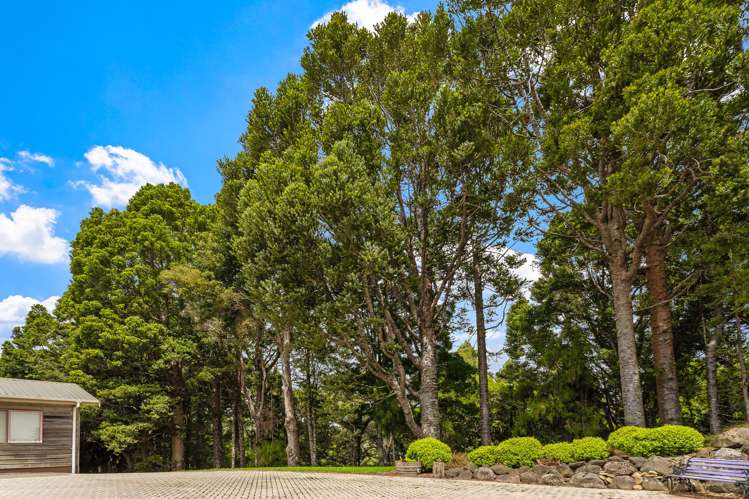 70 Wilson Road Warkworth_43