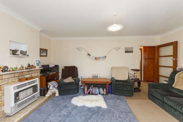 114 Manawatu Street Hokowhitu_4