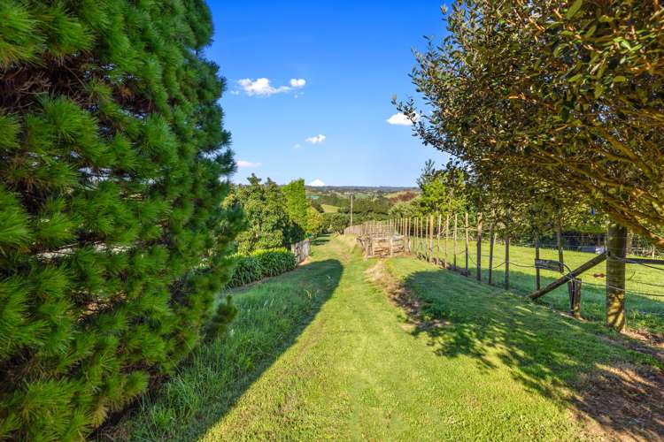 342 Youngson Road Whakamarama_24