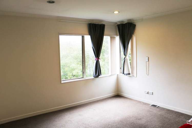 878A Dominion Road Mt Eden_8