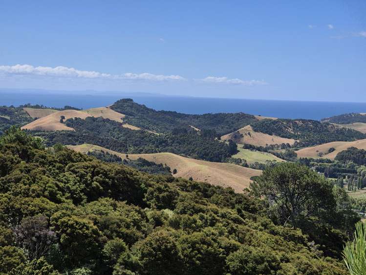 79 Awaawaroa Road Awaawaroa Bay_0