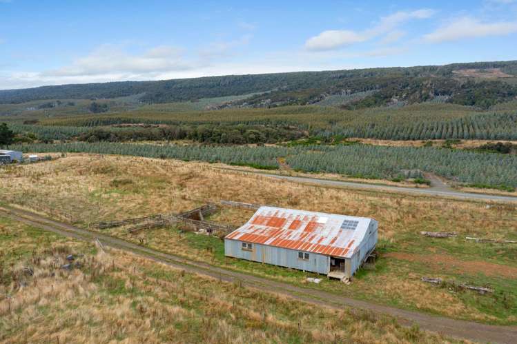 Tahakopa Valley Road Catlins Surrounds_10