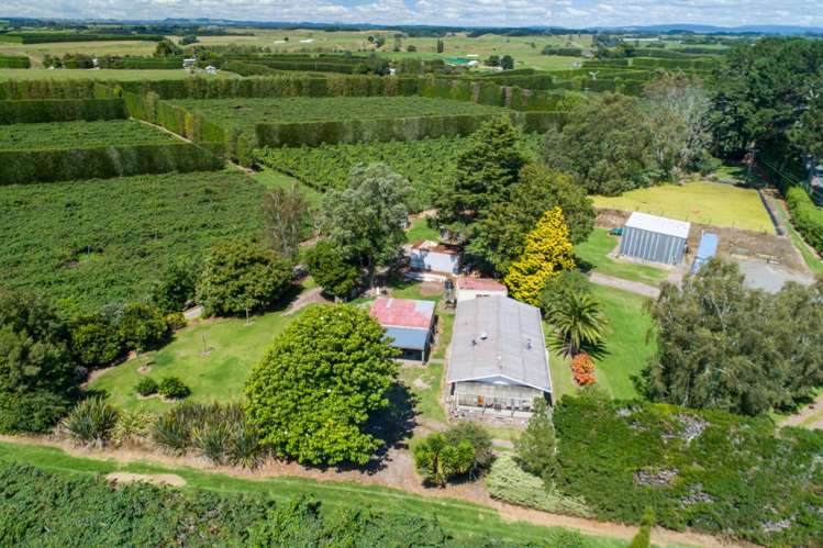 331 Maniatutu Road Pongakawa_2