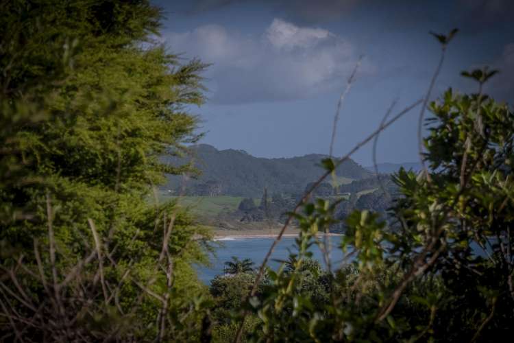 42 Radar Road Hot Water Beach_9