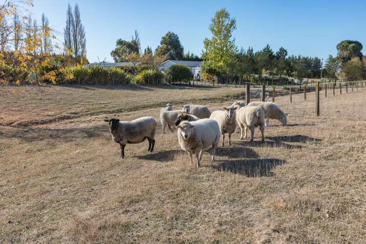 215 Racecourse Road Waipawa_18