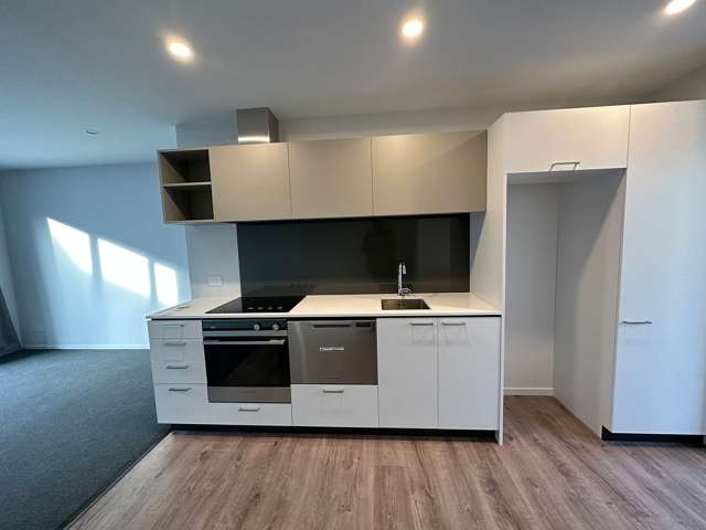 3/102 Ruskin Street Addington_4