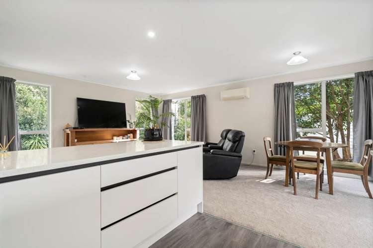 18 Leo Street Glen Eden_10