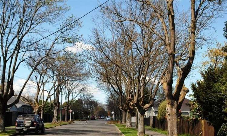 111a Francis Avenue Mairehau_14