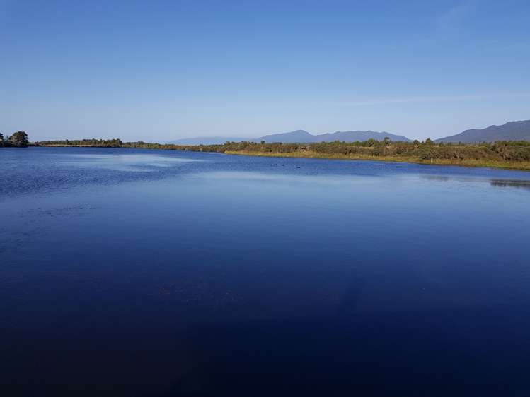 348 Virgin Flat Road Cape Foulwind_17