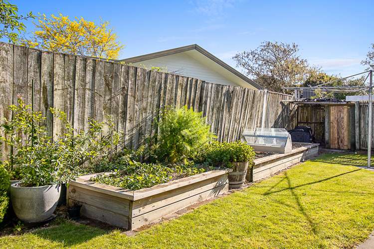 12a Hammond Place Witherlea_39