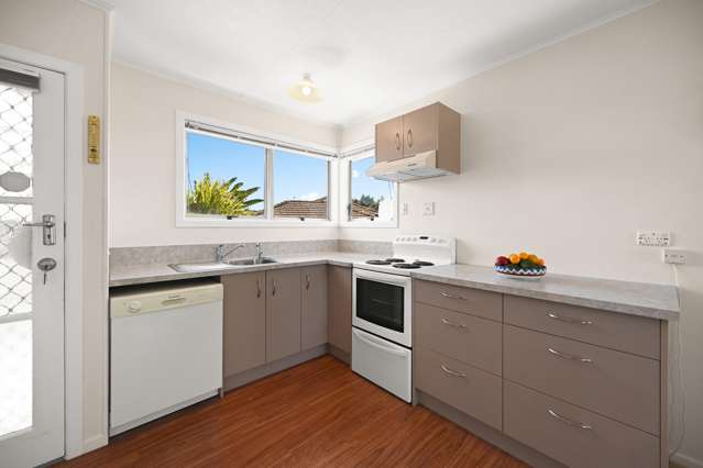 18a Roy Street Nawton_3