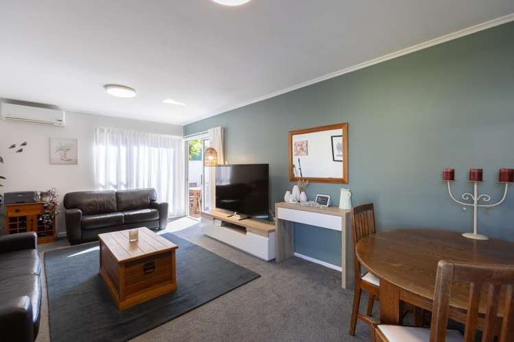 21A Vigor Brown Street Napier South_13
