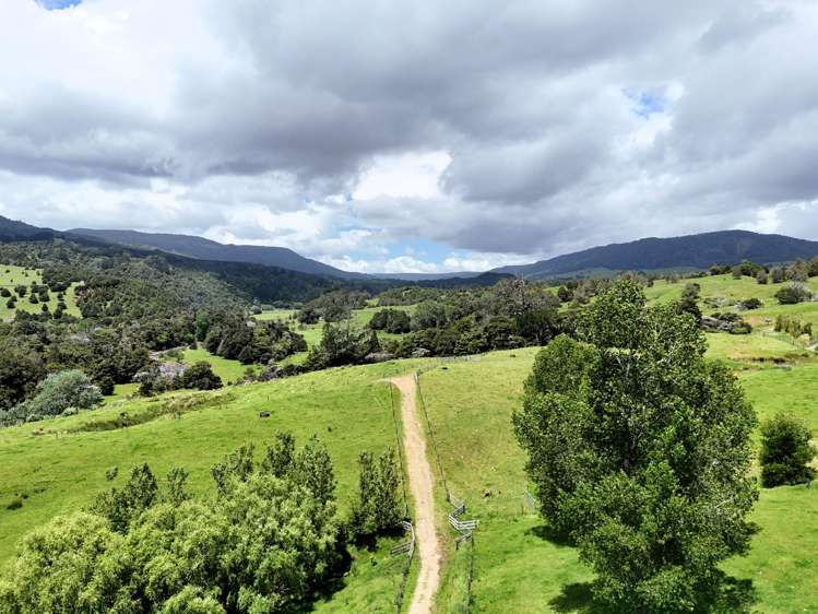 7046 State Highway 12 Waimamaku_10