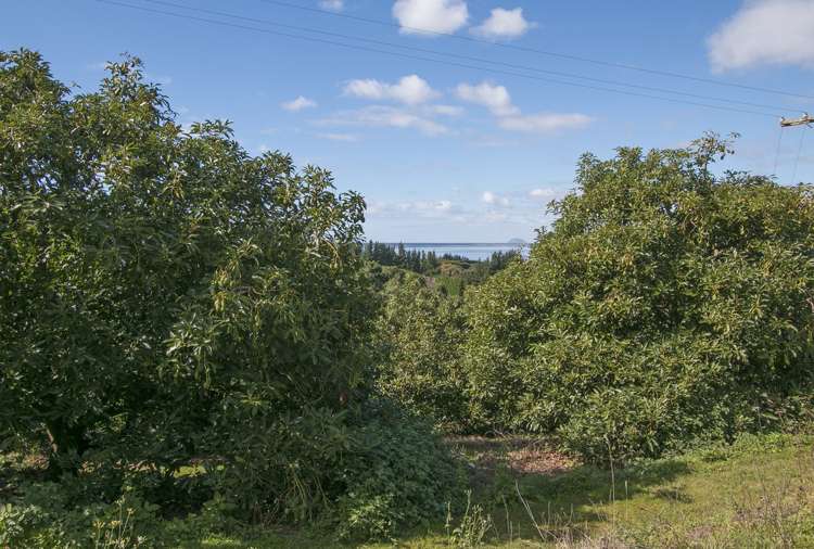 252a Kauri Point Road Hauraki Surrounds_22
