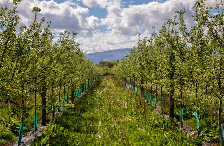 18 Conroys Road Alexandra_6